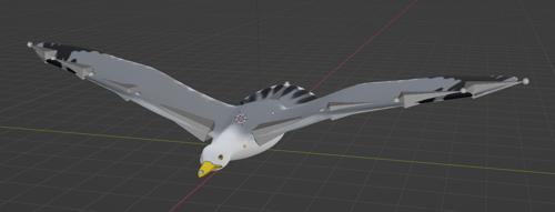 Seagull preview image